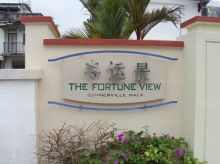 Fortune View (D13), Terrace #1056952